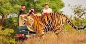 Explore the Wild Heart of India: Kanha National Park, Madhya Pradesh
