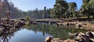Explore the Wild Heart of India: Kanha National Park, Madhya Pradesh