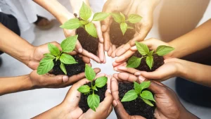 Environment Sustainability